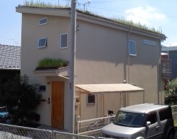 屋上緑化の家 (1).jpg